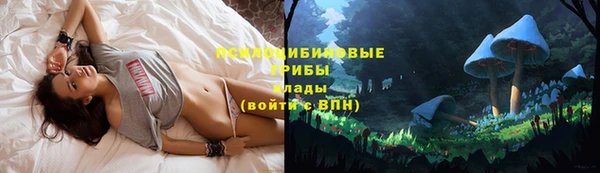 марки nbome Арсеньев