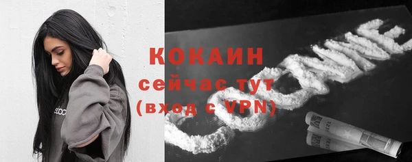 дживик Аркадак