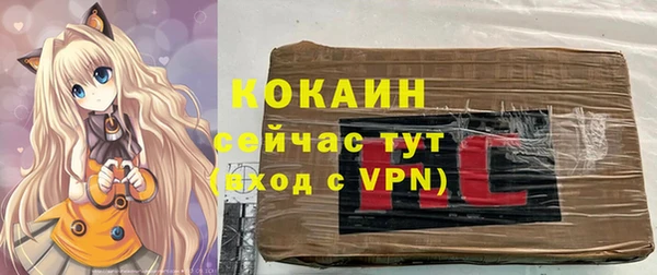 стафф Алексин