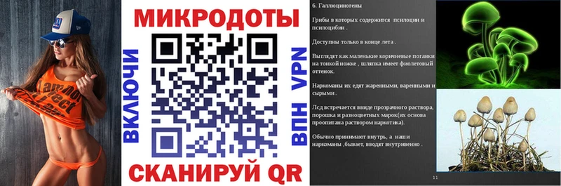 Купить  Сафоново  Псилоцибиновые грибы Psilocybe 
